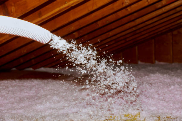 Best Insulation Inspection Services  in Arcola, VA