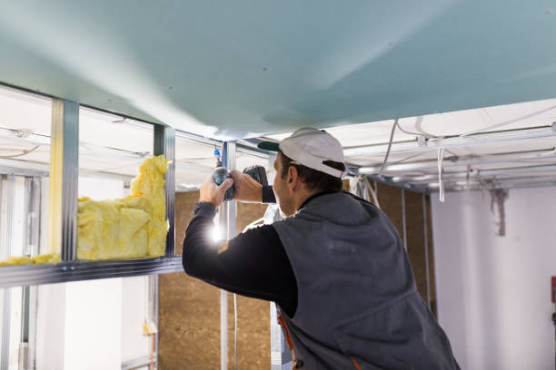 Best Insulation for New Construction  in Arcola, VA