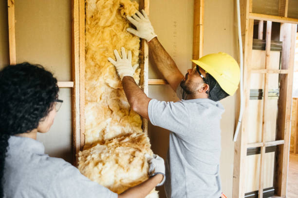 Best Insulation Contractors for Homes  in Arcola, VA