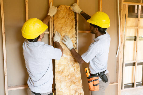 Best Energy-efficient Insulation  in Arcola, VA